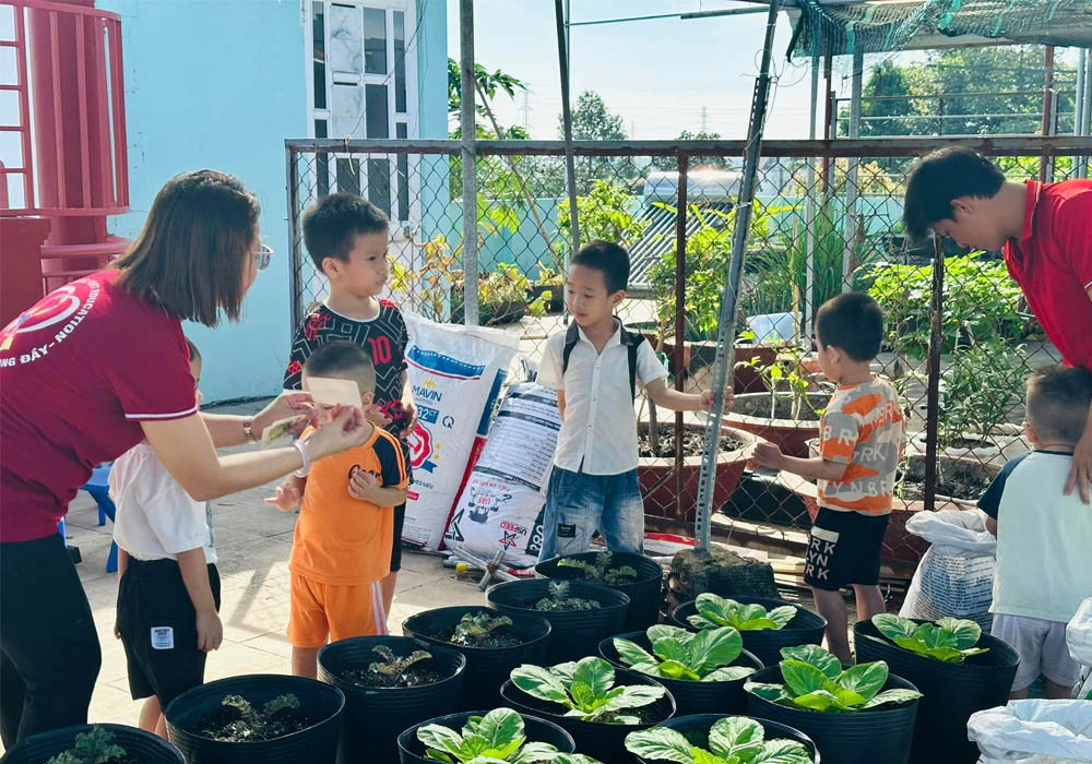 Be-thuc-hanh-nhan-biet-cac-loai-rau