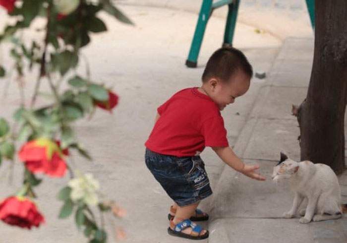 Bai-tap-phat-trien-ky-nang-tu-duy-cho-tre-Bai-so-1-