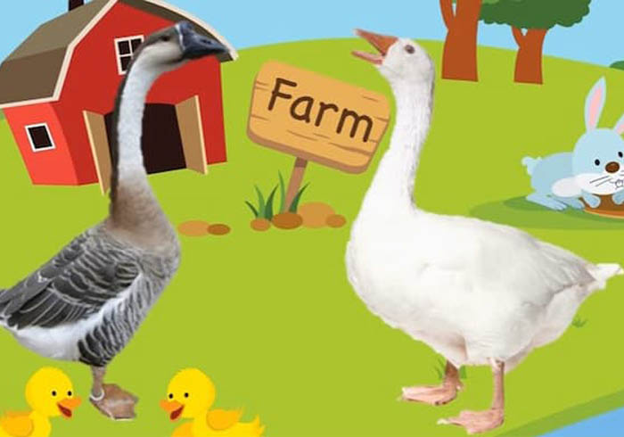 Bai-tap-phat-trien-ky-nang-tu-duy-cho-tre--Bai-so-15-